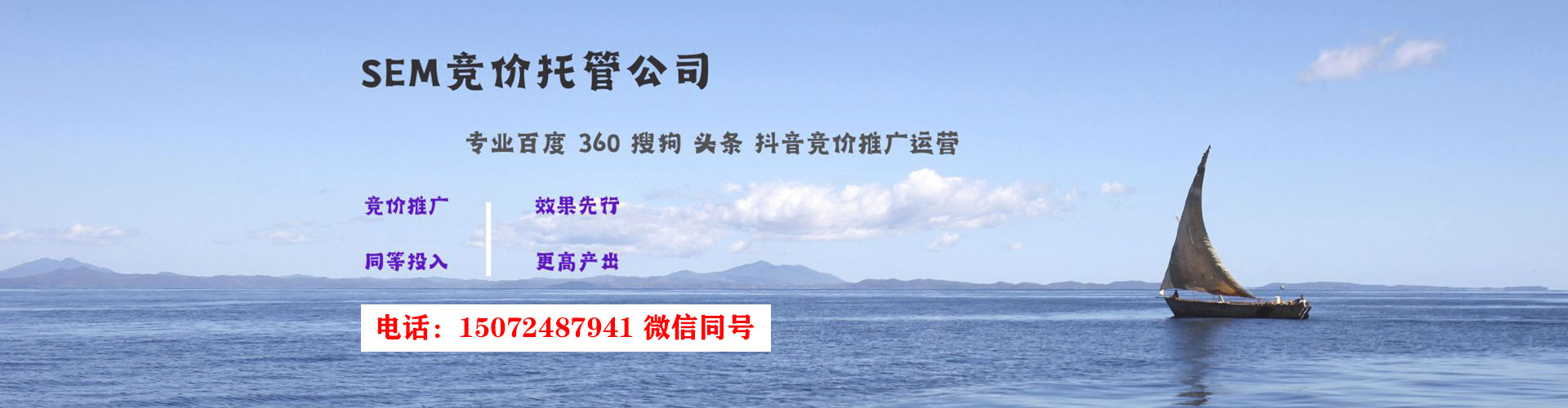 大树谷歌sem